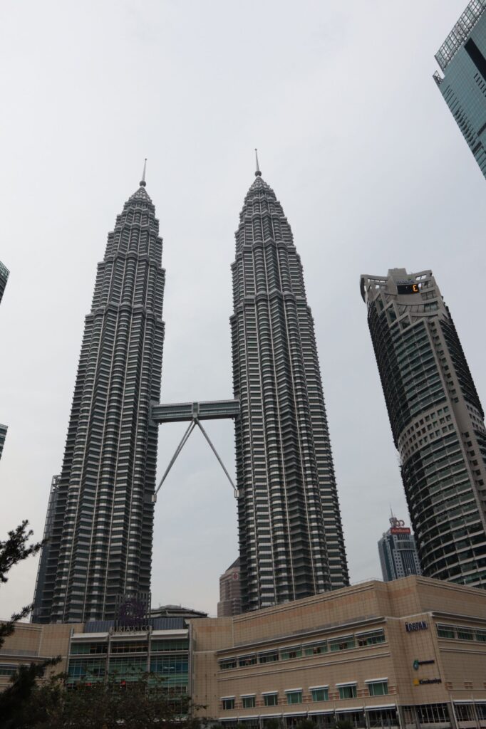 Petronas tower